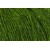 205 Lotus Leaf Dye Lot 37174